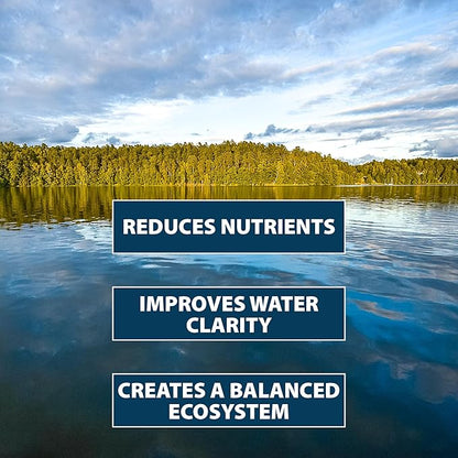 Airmax PondClear Packets, Beneficial Bacteria & Enzyme Clarifier Treatment with Ecoboost PRx, Clear & Clean Pond & Lake Water, Safe for Fish, 96 Count