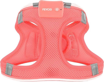 Light Up Dog Harness,Rechargeable LED Dog Harness for Small Medium Large Dogs,Reflective Lighted Safety Vest for Night Walking & Camping,Lightweight & Adjustable,Fluorescent Pink,M