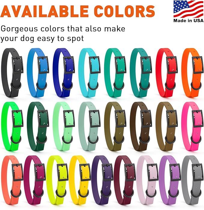 Dogline Biothane Waterproof Dog Collar Strong Coated Nylon Webbing with Black Hardware Odor- Proof for Easy Care Easy to Clean High Performance Fits Small Medium or Large Dogs, Sage Green