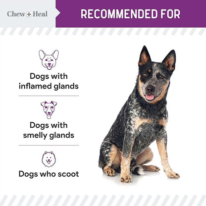 Glands Bowel Support - 14 oz of Stop The Scoot Powder for Scooting, Healthy Anal Glands, and Digestive Health - Made with Pumpkin Powder for Dogs