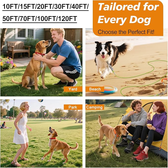 Tresbro 10 FT Dog Tie Out Cable with Spring, Shock Absorbing Tether Chains for Outside Aavilable in 10/15/20/25/30/40/50/70/100/120 FT, Heavy Duty Leads for Yard for Medium & Large Dogs Up to 500 LBS