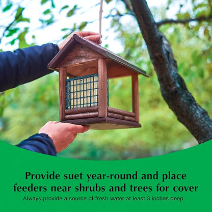 C&S Sunflower Suet Nuggets, Suet Nuggets for Wild Birds, 27 Ounces