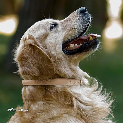 CollarDirect Rolled Leather Dog Collar, Soft Padded Round Puppy Collar, Handmade Genuine Leather Collar Dog Small Large Cat Collars 13 Colors (11-14 Inch, Beige Textured)