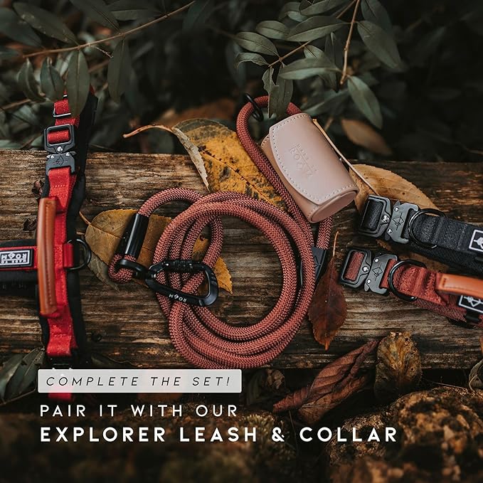 MADE TO ROAM Premium Explorer Harness - Y-Shaped Dog Harness with Adjustable Durable Nylon, Soft Padding, Metal Buckles and Leather Handle for Small, Medium, Large Dogs (Florida Seaside, Size 4)