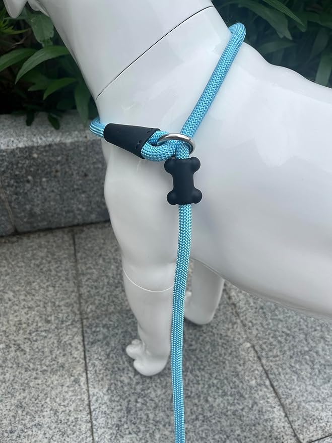 Slip Lead Dog Leash，Strong Nylon Rope Leash and Padded Handle,No Pull Outdoor Walking Training Lead for Small Medium Large Dogs(Light Bule, 1/2"×6ft)