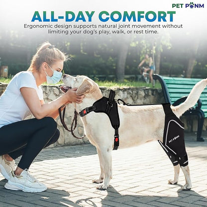 Petpanm- Adjustable Dog Knee Brace- Right Hind Leg with Integreted Harness- Premium Support for Torn ACL, Sprains & Strains Recovery, Enhances Mobility, Comfortable Neoprene. (XSmall)