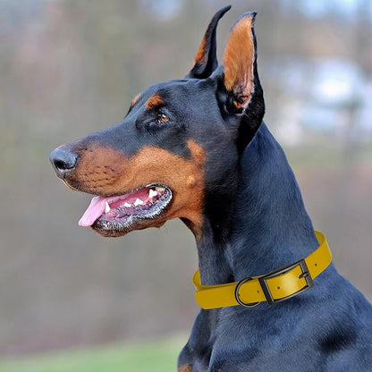 Dogline Biothane Waterproof Dog Collar Strong Coated Nylon Webbing with Black Hardware Odor- Proof for Easy Care Easy to Clean High Performance Fits Small Medium or Large Dogs, Treasure Gold