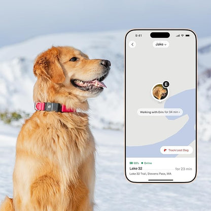 New Fi Series 3+ Smart Dog Tracker Collar – AI GPS for Dogs, Health & Behavior Monitor, Virtual Fence, Escape Alerts, Waterproof, Apple Watch Compatible 12Mo Membership Included