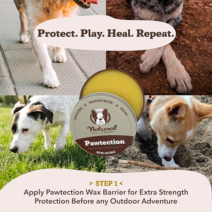 Natural Dog Company Paw Soother Balm - Soothing Cream for Dog Paws, Paw Care for Dogs, Healing Balm for Paws, Dog Paw Balm for Hot Pavement, Organic Shea Butter, Coconut Oil, Lick Safe 2 oz Tin