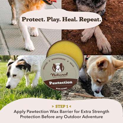 Natural Dog Company Paw Soother Balm Bundle, with 4 Travel Sticks (0.15 oz Each), Lotion, Moisturizes & Soothes Irritated Paws & Elbows, Protects from Cracks & Wounds, Lick-Safe, Made in USA