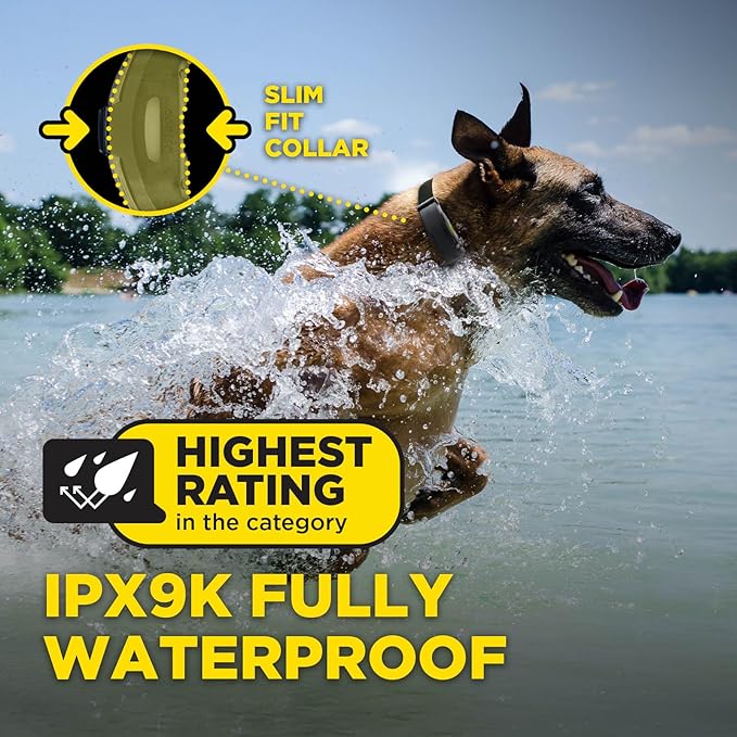 Dogtra ARC-X E-Collar for Dog Training - 3/4 Mile Range, for Dogs 15 lbs+, Slim Design, IPX9K Waterproof, 100 Stimulation Levels, Vibration, Tone, Rechargeable - Dog Owners and Professional Trainers