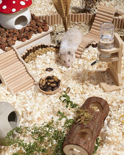 Niteangel Small Animal Snack & Treats - Small Critter Natural Treat for Dwarf Syrian Hamsters Gerbils Mice Sugar Glider Hedgehogs Chickens Birds (Freeze-Dried Dubia)