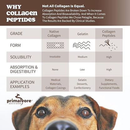 Primalvore Free-Range Bone Broth for Dogs &Cats, Mobility Formula w/Collagen Peptides to Help Support Hip & Joints, Digestion, Skin & Coat and Hydration, Human Grade, Made in USA. Chicken 6 Pack