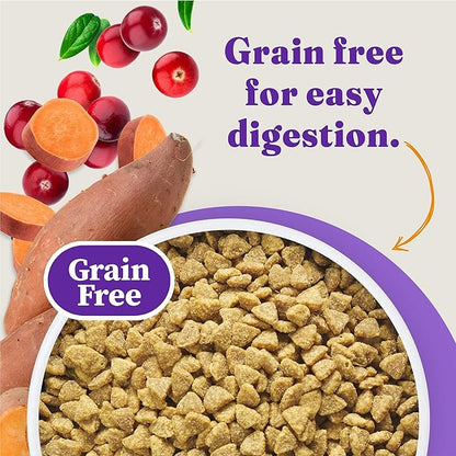 Halo Holistic Cage Free Chicken Cat Food, Grain Free Dry Cat Food, For Healthy Weight Support, Kibble for Indoor Cats, 10 lb Bag