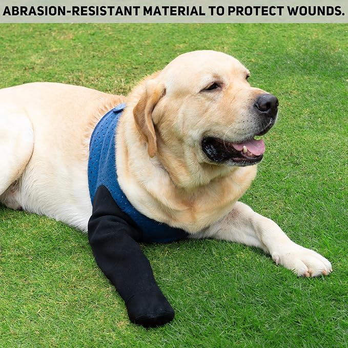 COODEO Dog Socks to Prevent Licking Paws, Healing Boots & Paw Protectors with Non-Slip Bottoms for Wound Protection, Waterproof Sleeve Shoes for Licking（Blue，L_Left