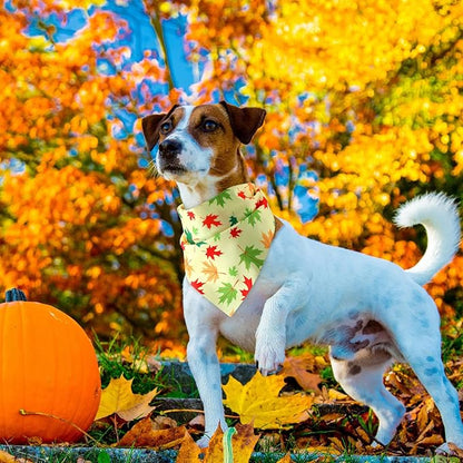 Weewooday 50 Pcs Fall Dog Bandanas Bulk Pumpkin Maple Leaves Thanksgiving Autumn Bandanas for Bibs Adjustable Scarf for Small Medium Large Pet Cat Costume(Leaves Pattern, 19.7 x 13.8 x 13.8 Inch)