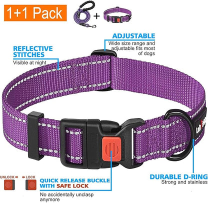 Heavy Duty Dog Leash - Comfortable Padded Handle, 5 ft Long - Dog Leashes for Small Medium Large Dogs (Leash+Collar M Neck 16"-20", Purple)
