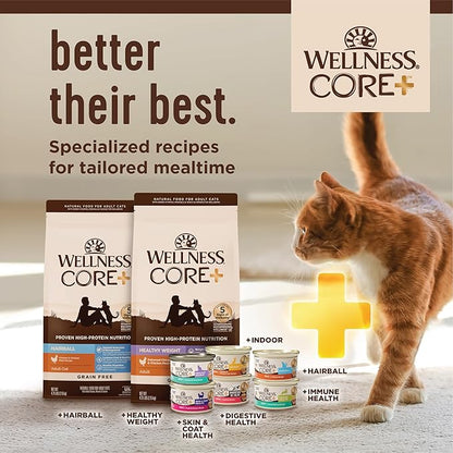 Wellness CORE+ Indoor Pate Adult Wet Cat Food, Natural, Protein-Rich, Grain Free, 3 Ounce, 12 Pack (Chicken & Chicken Liver)
