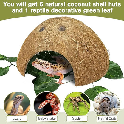 Hamiledyi 7 Pcs Reptile Hideouts Natural Coconut Shells Hut Leopard Gecko Tank Accessories for Hermit Crab Small Snake Tarantulas Lizard Chameleon Small Animal Hide Cave (with Fiber)