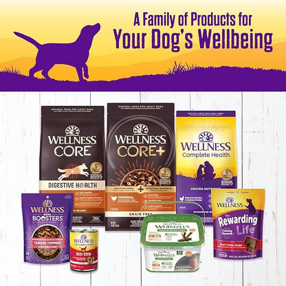 Wellness Complete Health Thick & Chunky Natural Grain Free Canned Wet Dog Food, Turkey & Duck Stew, 12.5-Ounce Can (Pack of 12)
