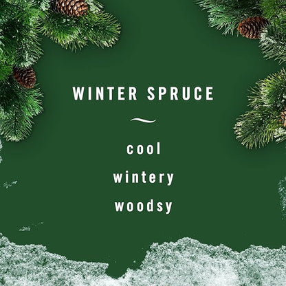 Febreze Small Spaces Air Freshener Limited Edition Scents (Winter Spruce, 2 Pack)