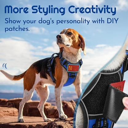 Eagloo Dog Harness Small Sized, Easy Wearing with 3 Buckles, Adjustable No Pull Pet Harness with 2 Rings for Walking, No Chock Reflective Soft Padded Vest with Control Handle, Blue & Black, S