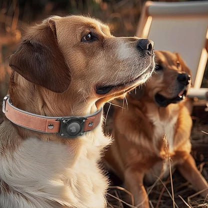 AirTag Dog Collar - Leather Dog Collar with Air Tag Holder | IPX8 Waterproof, Reflective, High - End, Adjustable Soft Padded | Dog GPS Tracker Collars Fit for Medium Large Dogs (Mahogany Brown, M)