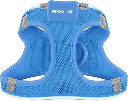 Light Up Dog Harness,Rechargeable LED Dog Harness for Small Medium Large Dogs,Reflective Lighted Safety Vest for Night Walking & Camping,Lightweight & Adjustable,Sky Blue,L
