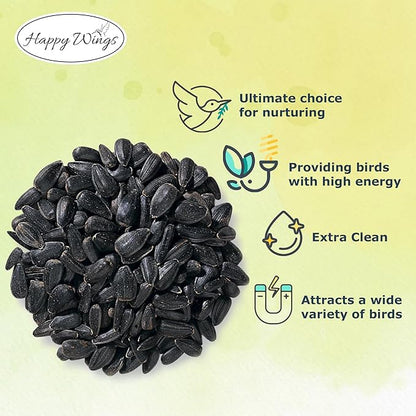 Nyjer Seed & Sunflower Seeds Wild Bird Food Combo - 5 Pound Pack I No Grow Seed I Bird Food for Wild Birds
