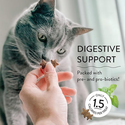 Shameless Pets Celebration Birthday Crunchy Cat Treats Chicken and Catnip Treats with Digestive Support