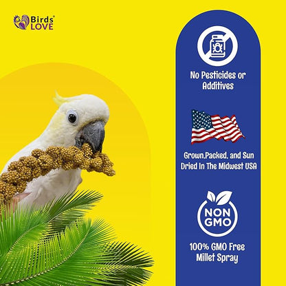 Birds LOVE Economy & Thin Special Spray Millet – 5 lb GMO-Free, No Stems (Only Edible Tops) – Healthy Treat for Cockatiels, Lovebirds, Parakeets, Finches & Canaries