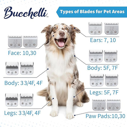 Detachable A Series 3 3/4 Skip Tooth Blades for Dog Grooming Cut Length 1/2" - 13mm -Skip Tooth Japanese Carbonized Steel Skip Tooth Clipper Blades Compatible A5 Series(3 3/4SK)