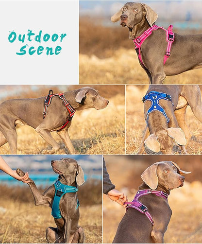 TRUE LOVE Dog Harness No Pull Nylon Reflective Pet Harness Adjustable Comfortable Control Step-in Brilliant Colors Truelove TLH56512 Black