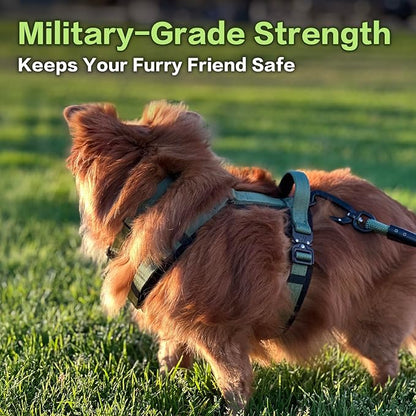 CLEPAWS Dog Harness for X-Large Dogs, No Pull Dog Harness Easy Walk with Metal Hardware, Ergonomic Y-Shaped Design, Soft Padding, Padded Handle, Durable High-Tensile Nylon (Evergreen, XL)