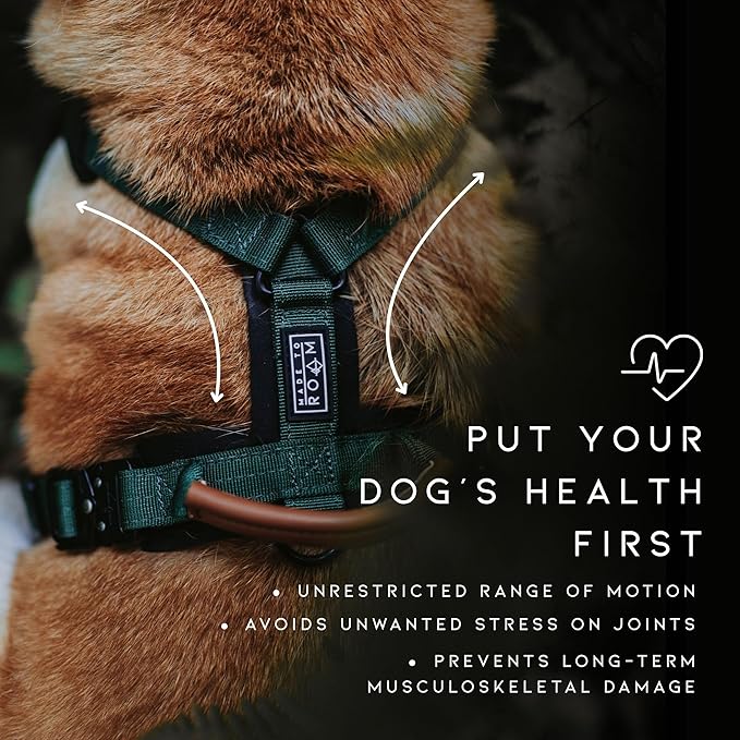 MADE TO ROAM Premium Explorer Harness - Y-Shaped Dog Harness with Adjustable Durable Nylon, Soft Padding, Metal Buckles and Leather Handle for Small, Medium, Large Dogs (Florida Seaside, Size 4)