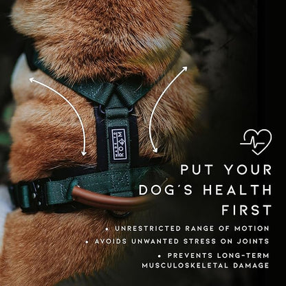 MADE TO ROAM Premium Explorer Harness - Y-Shaped Dog Harness with Adjustable Durable Nylon, Soft Padding, Metal Buckles and Leather Handle for Small, Medium, Large Dogs (Utah Glow, Size 4)