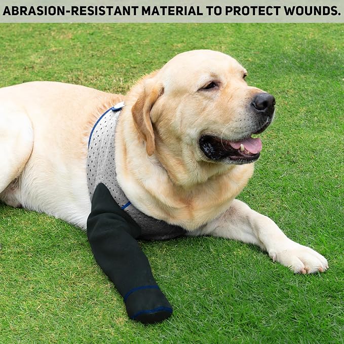 COODEO Dog Socks to Prevent Licking Paws, Healing Boots & Paw Protectors with Non-Slip Bottoms for Wound Protection, Waterproof Sleeve Shoes for Licking（Grey，M_Left