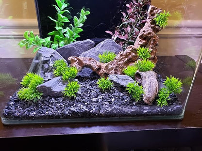 Natural Slate Stone 5 to 7 Inches - USA Sourced and Packaged for Aquascaping Aquariums, Terrariums, Paludariums, Reptile Enclosures, and Gardens (10lbs)