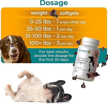 1TDC WorksSoWell Dual Action Joint Supplement for Dogs & Cats - Hip and Joint Supplement for Large Breed & Small Breed - Also Great for Oral Health - Muscle & Stamina Recovery & Arthritis - 60ct