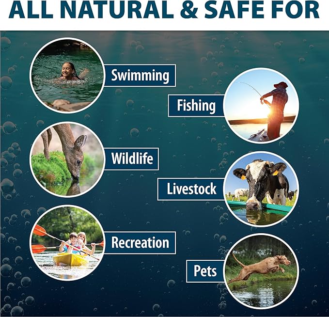 Airmax Pond Dye Packets Nature's Blue Colorant for Large Pond & Lake, Beneficial UV Blocking Color Concentrate, Maintain Clean & Clear Water, Fish Safe, Easy Treatment, 2 Soluble Packets
