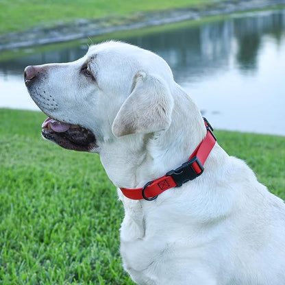 Dogline Biothane Waterproof Dog Collar with Quick Release Buckle Strong Coated Nylon Webbing with Odor- Proof for Easy Care Easy to Clean Fits Small Medium or Large Dogs, Red 1" W 15-23" L