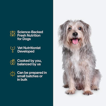 JustFoodForDogs DIY Nutrient Blend for Homemade Dog Food, Chicken & White Rice