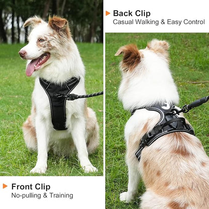 Taglory Light Up Dog Harness, Rechargeable No Pull Dog Vest with 3 Lightning Modes, Reflective Dog Harness with 2 Leash Clips & 4 Adjustable Slide Strips for Large Dogs, Black-Purple, XL