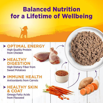 Wellness Complete Health Natural Wet Canned Puppy Food, Puppy Chicken & Salmon 12.5-Ounce Can (Pack of 12)