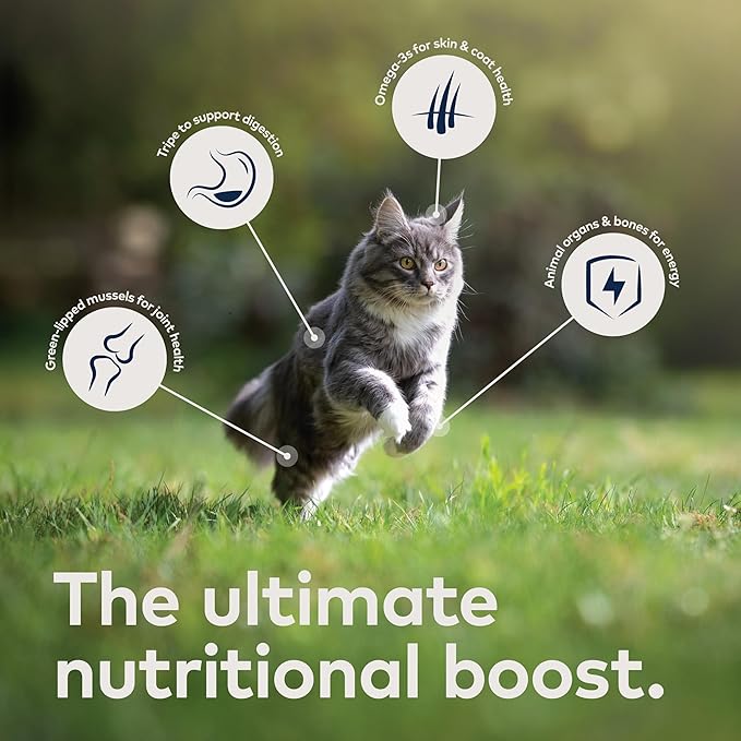 ZIWI Peak Wet Cat Food Variety Pack - Venison, Chicken, and Lamb, 6 Pack (3oz Each)