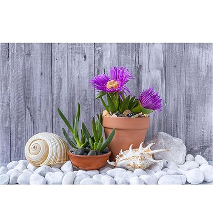 White River Rocks 40lbs, 1-2 Inch Natural Pebbles for Plants, Hand-Picked Premium Stones for Landscaping and Garden Design, Fish Tank, Flower Pots, Pathways and Backyard