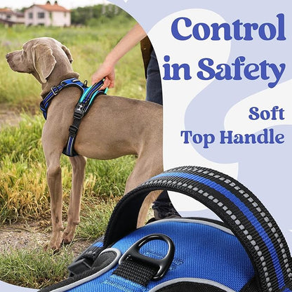 rabbitgoo Dog Harness Small Sized, No Pull Pet Harness with 3 Buckles, Adjustable Soft Padded Vest with Control Handle, Walking Reflective Pet Vest for Small Dogs, Blue, S