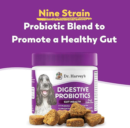 Dr. Harvey's Digestive Probiotic Soft Chews for Dogs, 7 Probiotics for Gut Health, Diarrhea and Bowel Support, Peanut Butter Flavor (90 Chews)