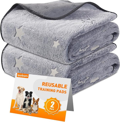LOOBANI Washable Pee Pads for Dogs, 2 Pack 36 x 48 in, Grey Star Pattern, Reusable Dog Surface Protector, Flannel Material