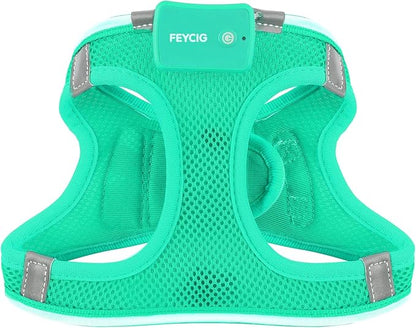 Light Up Dog Harness,Rechargeable LED Dog Harness for Small Medium Large Dogs,Reflective Lighted Safety Vest for Night Walking & Camping,Lightweight & Adjustable,Light Green,L